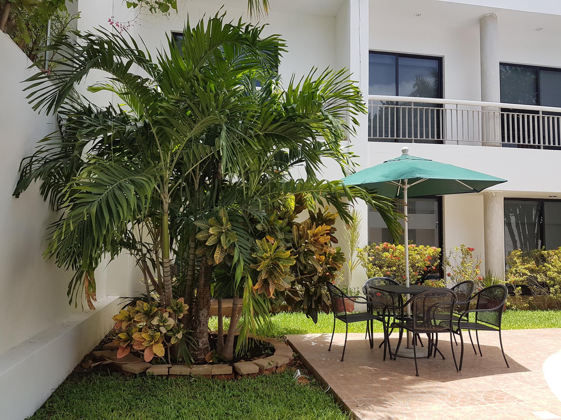 Hotel Holly Merida Exterior photo